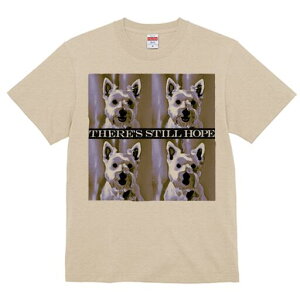 EGXgnChzCgeA TVc fB[X t@  t  vg JWA 킢 lԗp h ̃fUC ʔ EGXgnChzCgeA