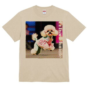 gCv[h TVc fB[X t@  t  vg JWA 킢 lԗp h ̃fUC ʔ  gCv[h hbg