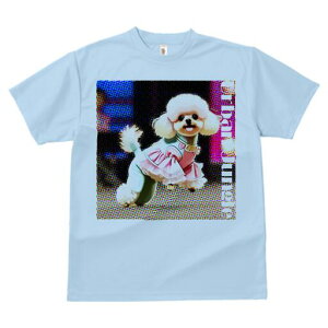 gCv[h TVc fB[X t@  t  vg JWA 킢 lԗp h ̃fUC ʔ  gCv[h hbg