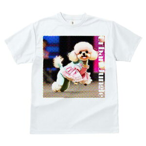 gCv[h TVc fB[X t@  t  vg JWA 킢 lԗp h ̃fUC ʔ  gCv[h hbg