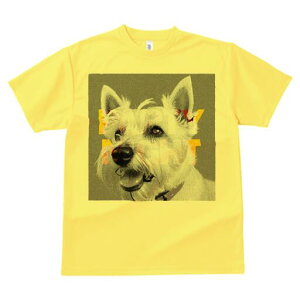 EGXgnChzCgeA TVc fB[X t@  t  vg JWA 킢 lԗp h ̃fUC ʔ EGXgnChzCgeA