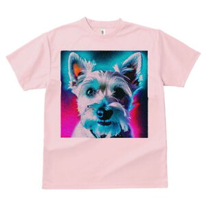 EGXgnChzCgeA TVc fB[X t@  t  vg JWA 킢 lԗp h ̃fUC ʔ EGXgnChzCgeA