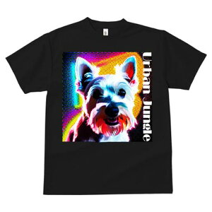 EGXgnChzCgeA TVc fB[X t@  t  vg JWA 킢 lԗp h ̃fUC ʔ EGXgnChzCgeA