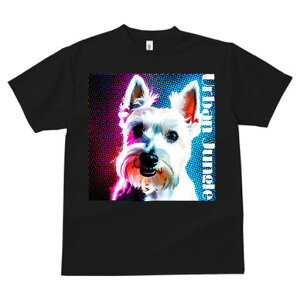 EGXgnChzCgeA TVc fB[X t@  t  vg JWA 킢 lԗp h ̃fUC ʔ EGXgnChzCgeA