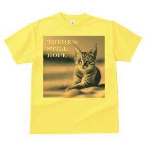 TVc fB[X t@  t  vg JWA 킢 lԗp h ̃fUC ʔ L