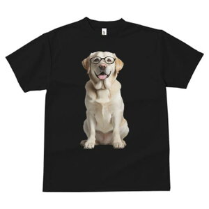 uh[go[ TVc Y LbY t@  t  vg JWA 킢 lԗp h ̃fUC ʔ Kl uh[go[