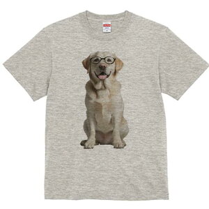 uh[go[ TVc Y LbY t@  t  vg JWA 킢 lԗp h ̃fUC ʔ Kl uh[go[