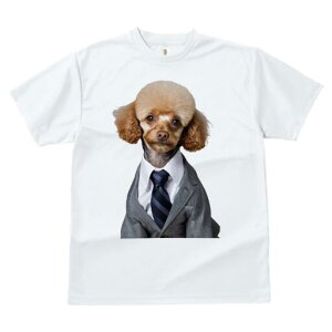 gCv[h TVc fB[X t@  t  vg JWA 킢 lԗp h ̃fUC ʔ X[c gCv[h lN^C Vc