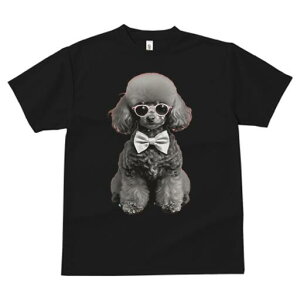 v[h TVc fB[X t@  t  vg JWA 킢 lԗp h ̃fUC ʔ lN^C v[h TOX