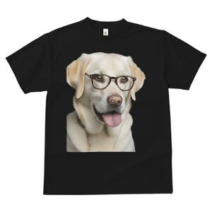 uh[go[ TVc Y LbY t@  t  vg JWA 킢 lԗp h ̃fUC ʔ Kl uh[go[