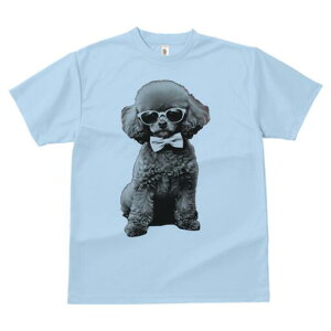 gCv[h TVc fB[X t@  t  vg JWA 킢 lԗp h ̃fUC ʔ lN^C gCv[h TOX