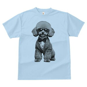 gCv[h TVc fB[X t@  t  vg JWA 킢 lԗp h ̃fUC ʔ lN^C gCv[h X[c ዾ 