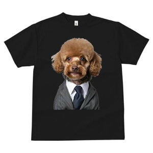 gCv[h TVc fB[X t@  t  vg JWA 킢 lԗp h ̃fUC ʔ X[c gCv[h lN^C rWlX tH[}