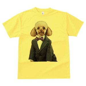 gCv[h TVc fB[X t@  t  vg JWA 킢 lԗp h ̃fUC ʔ X[c gCv[h lN^C tH[} 