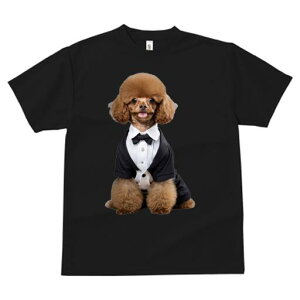 gCv[h TVc fB[X t@  t  vg JWA 킢 lԗp h ̃fUC ʔ ^LV[h gCv[h lN^C 