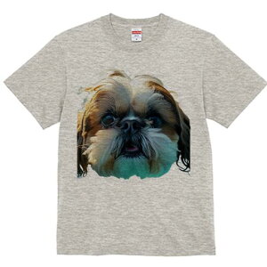 V[Y[ TVc fB[X t@  t  vg JWA 킢 lԗp h ̃fUC ʔ V[Y[