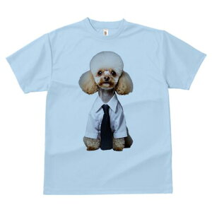 gCv[h TVc fB[X t@  t  vg JWA 킢 lԗp h ̃fUC ʔ CVc gCv[h lN^C