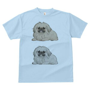 yLj[Y TVc fB[X t@  t  vg JWA 킢 lԗp h ̃fUC ʔ yLj[Y