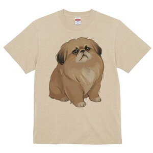 yLj[Y TVc fB[X t@  t  vg JWA 킢 lԗp h ̃fUC ʔ yLj[Y