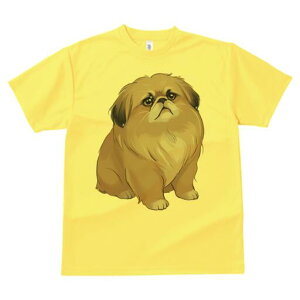 yLj[Y TVc fB[X t@  t  vg JWA 킢 lԗp h ̃fUC ʔ yLj[Y