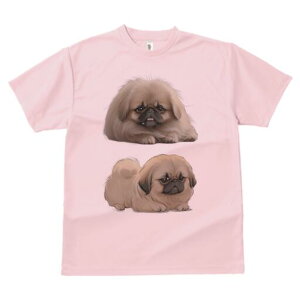 yLj[Y TVc fB[X t@  t  vg JWA 킢 lԗp h ̃fUC ʔ yLj[Y