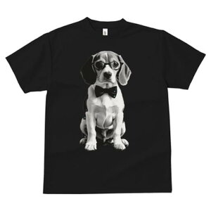 r[O TVc fB[X t@  t  vg JWA 킢 lԗp h ̃fUC ʔ lN^C r[O ዾ