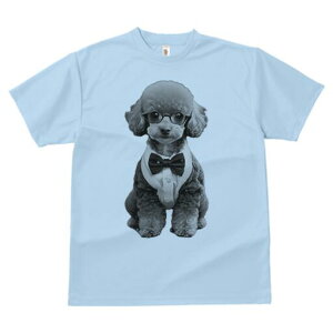 gCv[h TVc Y LbY t@  t  vg JWA 킢 lԗp h ̃fUC ʔ lN^C gCv[h Kl ^LV[h