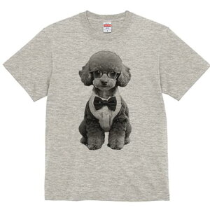 gCv[h TVc Y LbY t@  t  vg JWA 킢 lԗp h ̃fUC ʔ lN^C gCv[h Kl ^LV[h