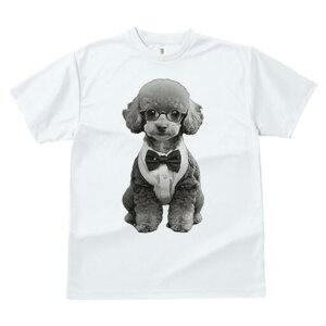 gCv[h TVc fB[X t@  t  vg JWA 킢 lԗp h ̃fUC ʔ lN^C gCv[h Kl ^LV[h