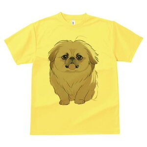 yLj[Y TVc fB[X t@  t  vg JWA 킢 lԗp h ̃fUC ʔ yLj[Y