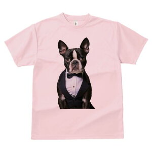 {XgeA TVc fB[X t@  t  vg JWA 킢 lԗp h ̃fUC ʔ ^LV[h {XgeA lN^C 