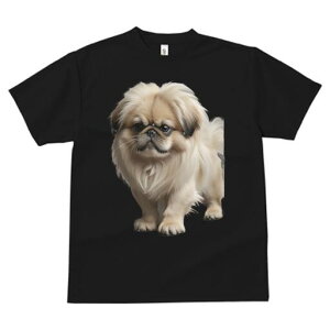 yLj[Y TVc fB[X t@  t  vg JWA 킢 lԗp h ̃fUC ʔ ӂӂ yLj[Y 킢  ybg