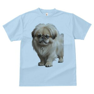 yLj[Y TVc fB[X t@  t  vg JWA 킢 lԗp h ̃fUC ʔ ӂӂ yLj[Y 킢  ybg