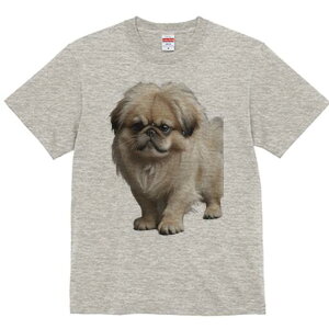 yLj[Y TVc fB[X t@  t  vg JWA 킢 lԗp h ̃fUC ʔ ӂӂ yLj[Y 킢  ybg