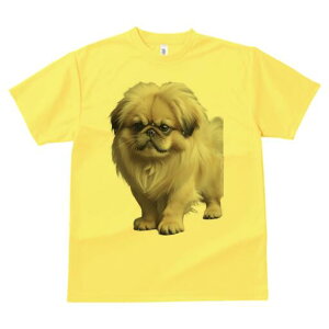 yLj[Y TVc fB[X t@  t  vg JWA 킢 lԗp h ̃fUC ʔ ӂӂ yLj[Y 킢  ybg