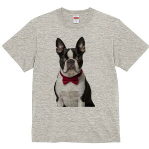 {XgeA TVc fB[X t@  t  vg JWA 킢 lԗp h ̃fUC ʔ lN^C {XgeA