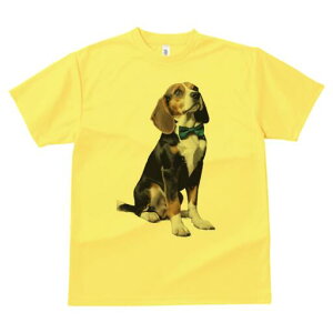 r[O TVc fB[X t@  t  vg JWA 킢 lԗp h ̃fUC ʔ lN^C r[O