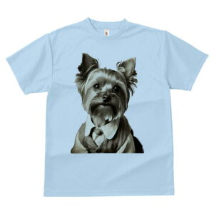 [NV[eA TVc fB[X t@  t  vg JWA 킢 lԗp h ̃fUC ʔ am [NV[eA X[c 