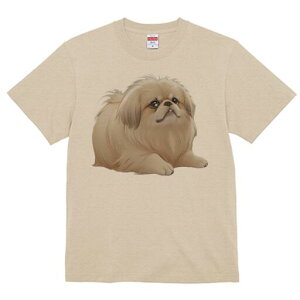 yLj[Y TVc fB[X t@  t  vg JWA 킢 lԗp h ̃fUC ʔ yLj[Y