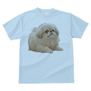 yLj[Y TVc fB[X t@  t  vg JWA 킢 lԗp h ̃fUC ʔ yLj[Y