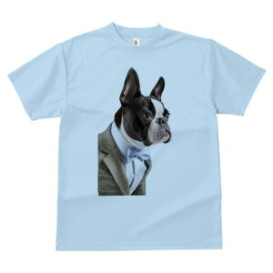 {XgeA TVc fB[X t@  t  vg JWA 킢 lԗp h ̃fUC ʔ X[c {XgeA lN^C tH[}