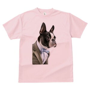 {XgeA TVc fB[X t@  t  vg JWA 킢 lԗp h ̃fUC ʔ X[c {XgeA lN^C tH[}