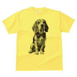 r[O TVc fB[X t@  t  vg JWA 킢 lԗp h ̃fUC ʔ lN^C r[O