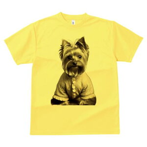 [NV[eA TVc fB[X t@  t  vg JWA 킢 lԗp h ̃fUC ʔ {^ [NV[eA 