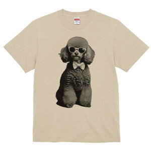 v[h TVc fB[X t@  t  vg JWA 킢 lԗp h ̃fUC ʔ TOX v[h lN^C