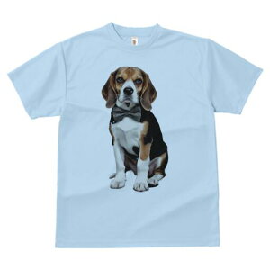 r[O TVc fB[X t@  t  vg JWA 킢 lԗp h ̃fUC ʔ lN^C r[O