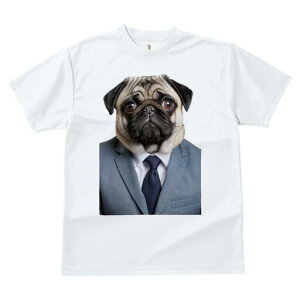 pO TVc fB[X t@  t  vg JWA 킢 lԗp h ̃fUC ʔ X[c pO lN^C rWlX