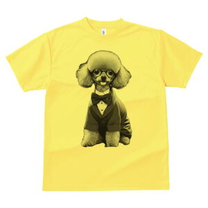 gCv[h TVc fB[X t@  t  vg JWA 킢 lԗp h ̃fUC ʔ lN^C gCv[h X[c ዾ tH[}