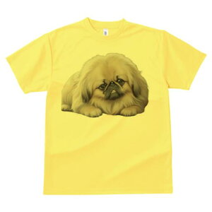 yLj[Y TVc fB[X t@  t  vg JWA 킢 lԗp h ̃fUC ʔ yLj[Y