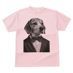 r[O TVc fB[X t@  t  vg JWA 킢 lԗp h ̃fUC ʔ lN^C r[O X[c